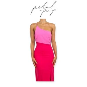 Petal & Pup Xiomar One Shoulder Midi Dress Pink Red Size 0 Event